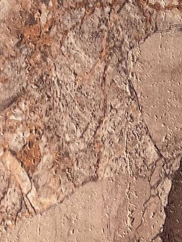 Jarrah — detail