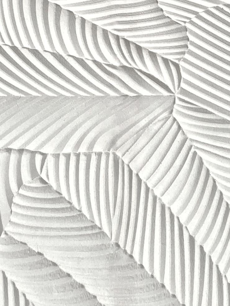 Palm Leaf close up, the carved fronds in raking light